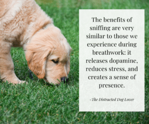 The bene fits of sniffin