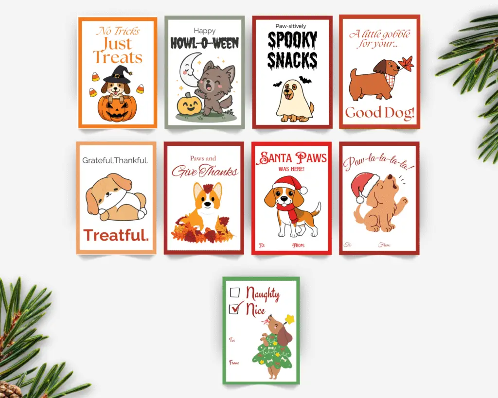 Dog lover gift ideas