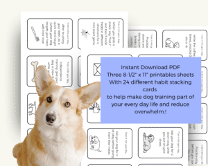 Dog Training Habit Stacking Card