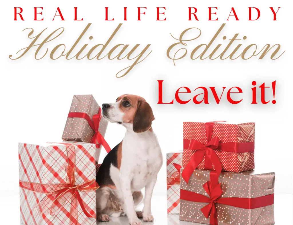 teach your dog to leave it