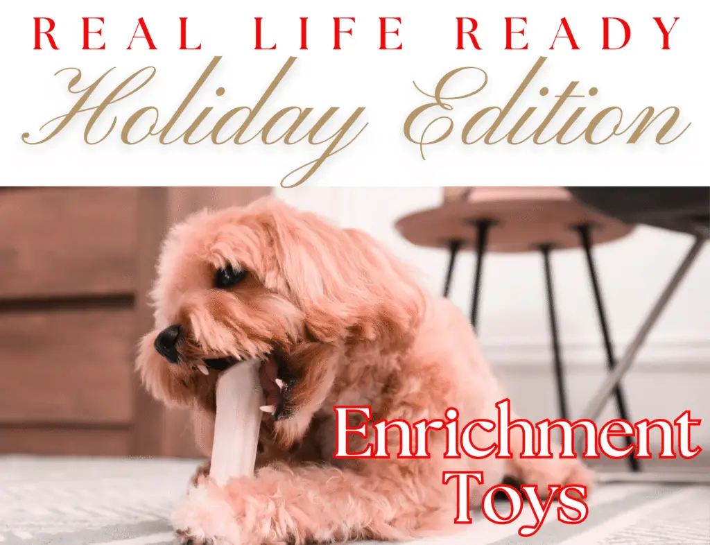 Top 5 Dog Enrichment Toys to Buy You Time and Sanity