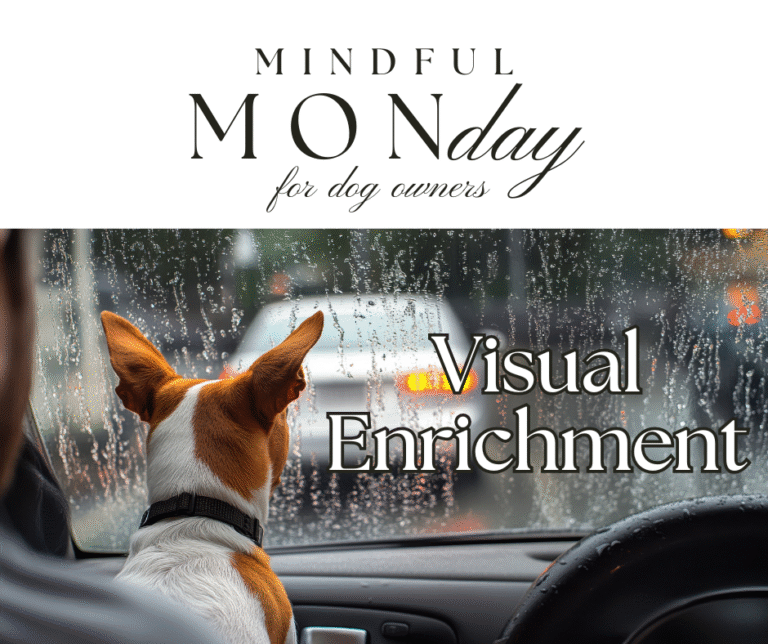 visual enrichment for dogs