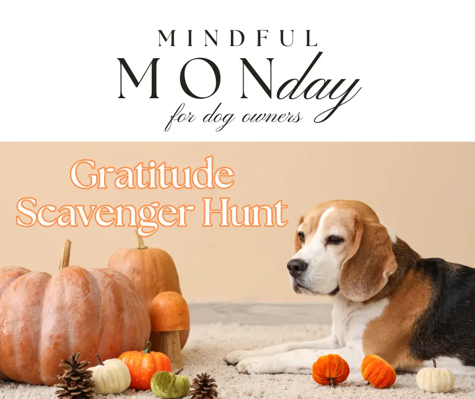 Dog Lover’s Gratitude Scavenger Hunt