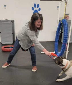 dog playing with Tug-E-Nuff chaser toy