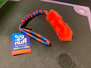 Dog toys for training and engagement 