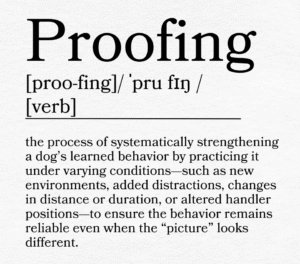 Proofing is often overlooked in dog training