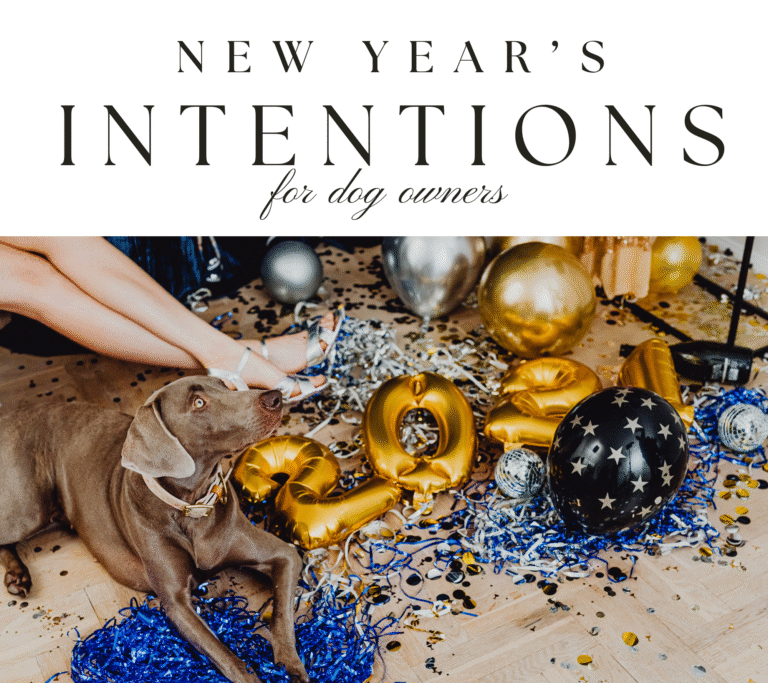 New Year's Resolutions