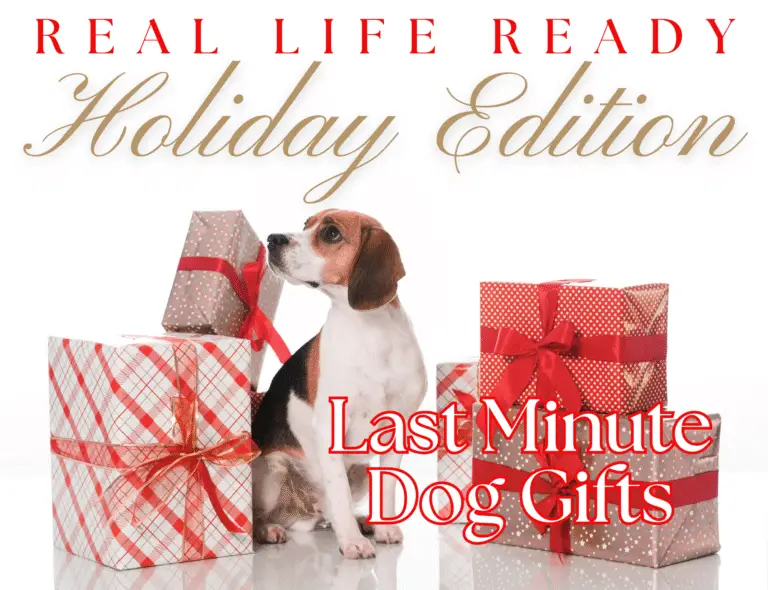 Last-Minute Dog Gifts I Actually Love (From Tug-E-Nuff)
