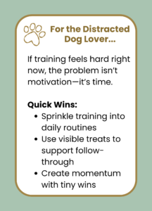 Building focus in little moments