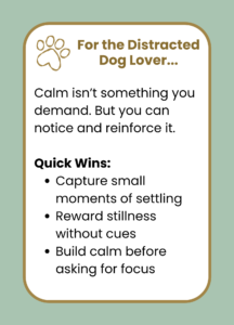 Capturing calm behavior in dogs
