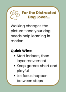 Building focus on walks