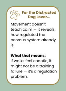 Movement does not always calm your dog