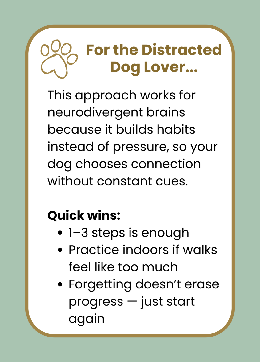 Habits That Help Build Your Dog’s Attention on Walks - The Distracted ...