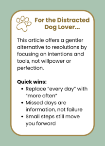 What is a New Year's intentions