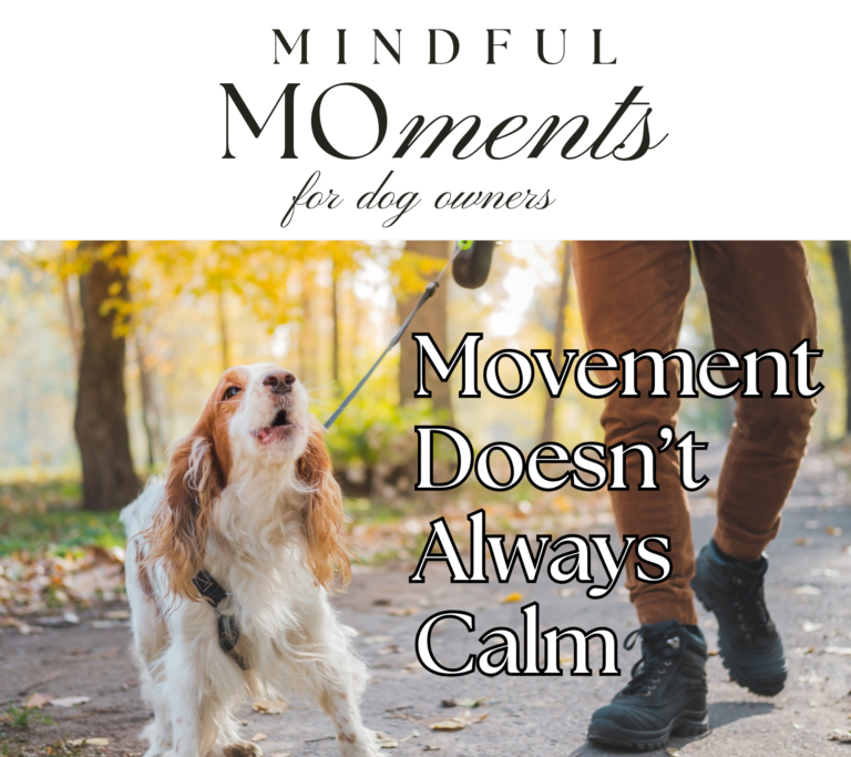 Movement Doesn't Calm