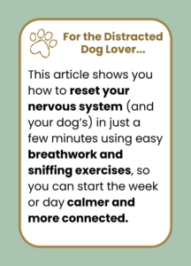 Mindful Dog Training Tips