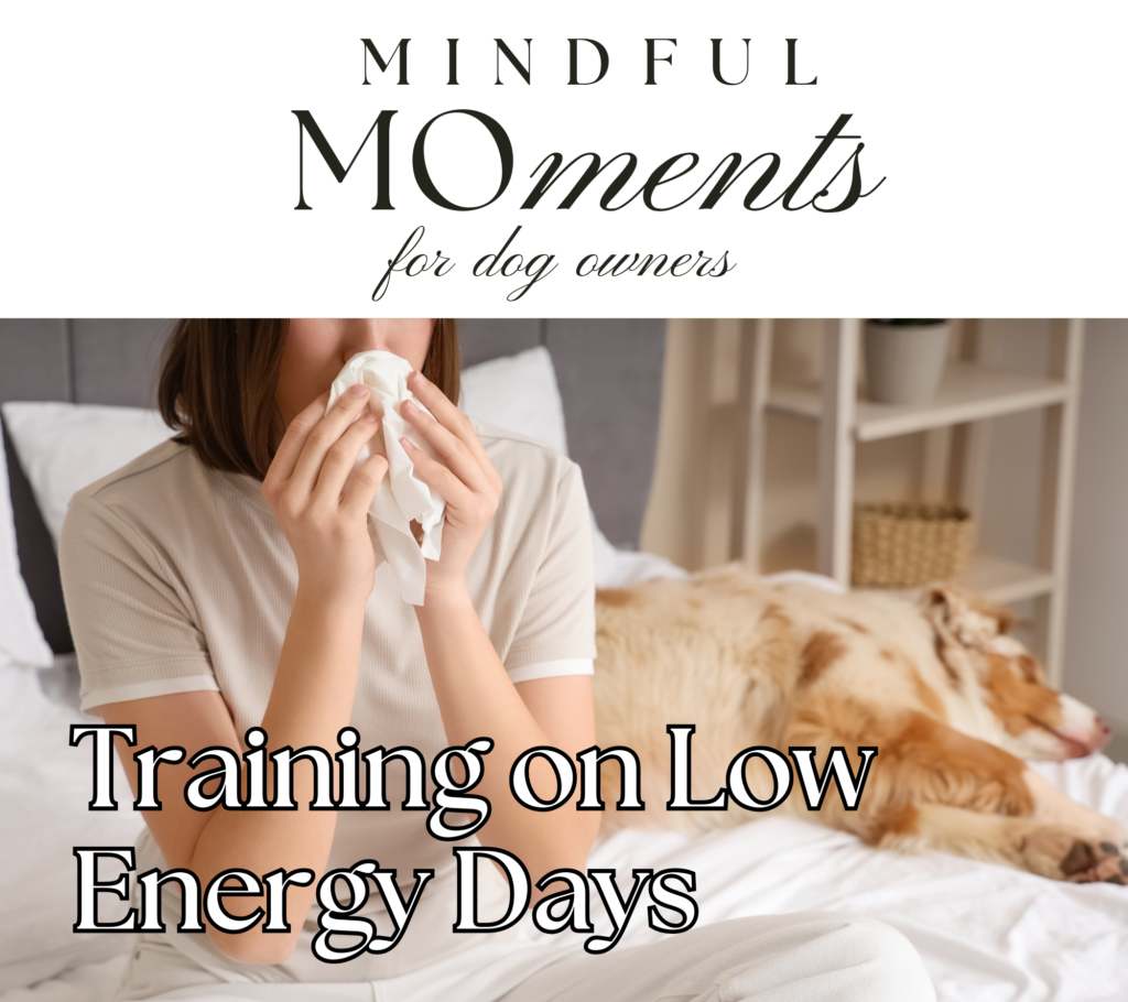 Dog Training on Low Energy Days