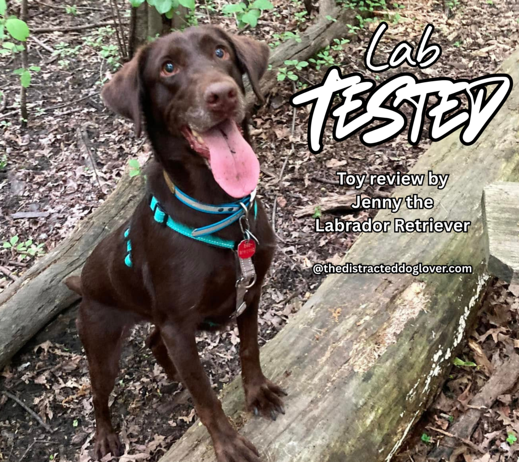 Lab Tested: Interactive Dog Ball