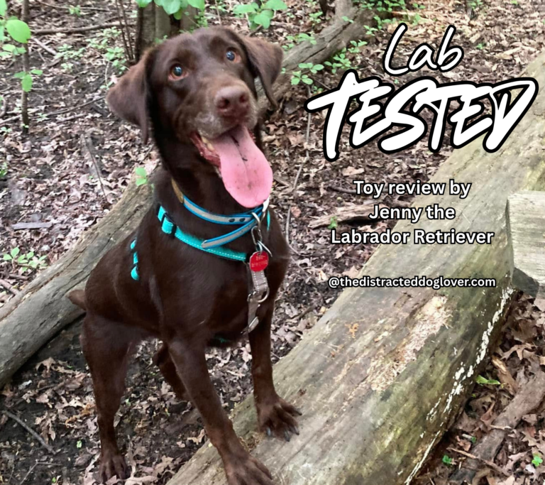 Was This Impulse By Worth It? The Interactive Dog Ball Toy - The ...