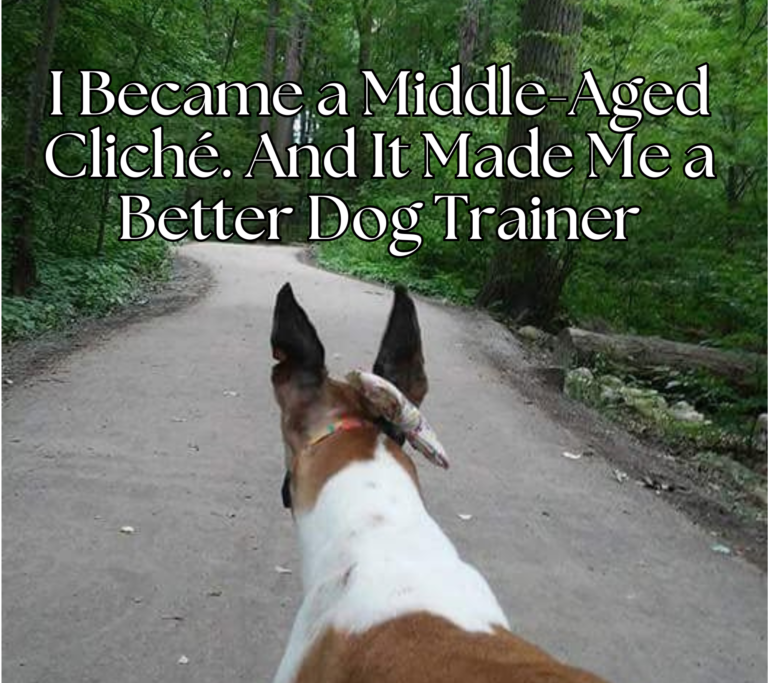 I Became a Middle-Aged Cliché. And It Made Me a Better Dog Trainer